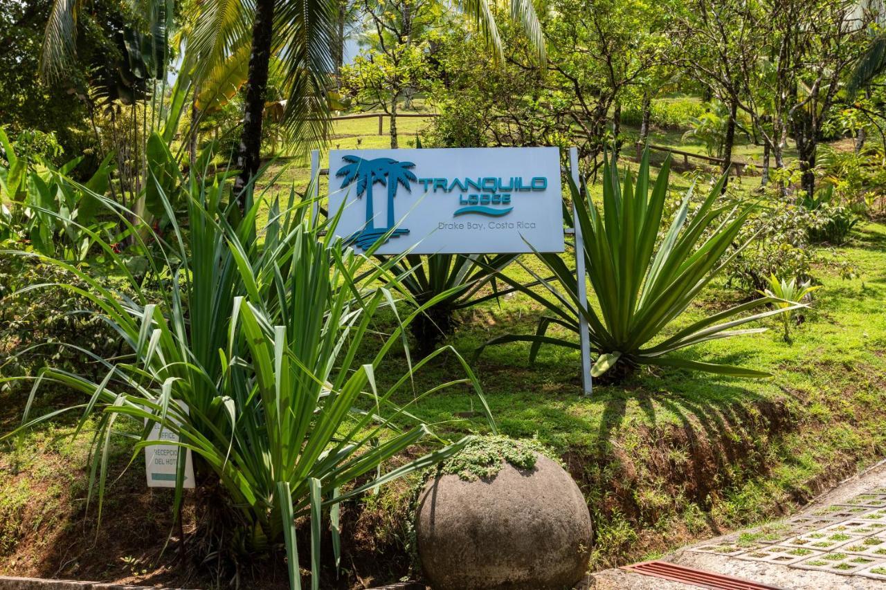 The Tranquilo Lodge, Adult Only, All Meals Included Drakes Bay Exterior foto